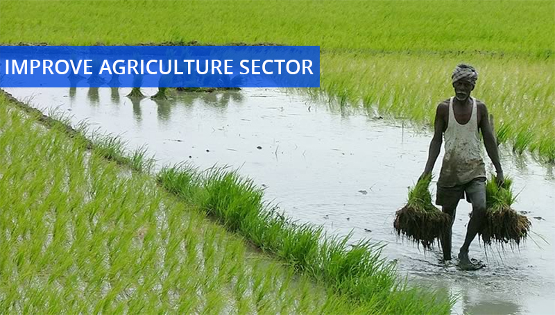 Improve Agriculture sector