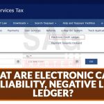 What are Electronic Cash, Credit, Liability, Negative Liability Ledger