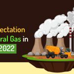 GST - FIPI Expectation for Natural Gas in Budget 2022