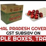 HP Govt GST Subsidy on Apple Boxes Trays