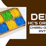 Delhi HC's Order for Charu Overseas PVT. LTD