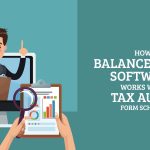 How Balance Sheet Software Works with Tax Audit Form Schema