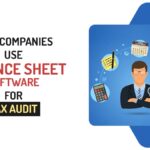 How Companies Use Balance Sheet Software for Tax Audit