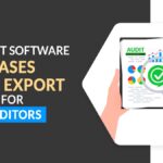 How GST Software Eases Data Export for Auditors